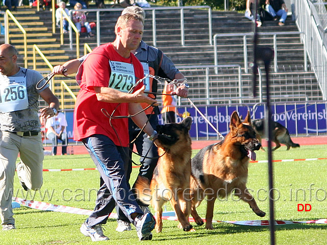 154.jpg - Guardate la bravura di Jurgen Manser, nel rimettere il collare ad Arex in corsa