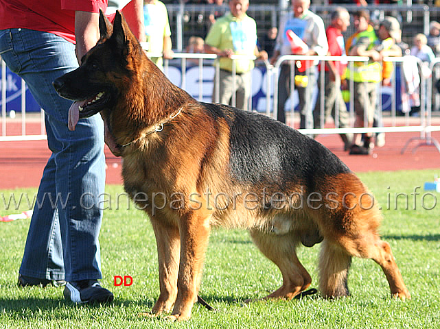 255.jpg - Ober von Bad-Boll VA5