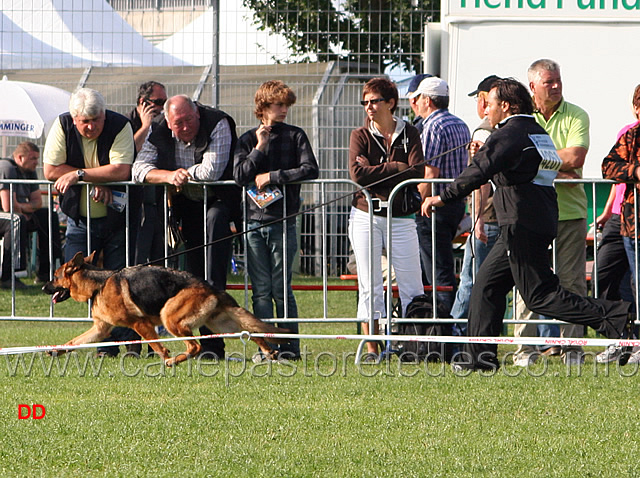 039.jpg - Issi vom Osterberger-Land SG20