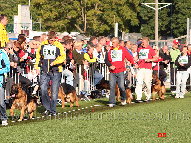 012.jpg - Lucky vom Meierhof SG22, Tarzan vom Zellwaldrand SG26, Yanick vom Elzmündungsraum SG25