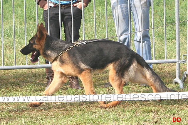 047.jpg - Classe Juniores maschi. 5 Vando Zenevredo