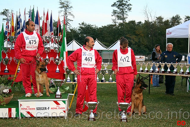 021.jpg - Giovani femmine Siegerin Gerryval Reina, 2 Promessa Patty della Cerza (non c'è la cagna), 3 Promessa Brady du Val d'Anzin