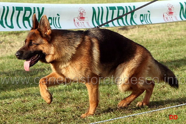 038.jpg - Giovani femmine. 1 Blanka della Gens Pontina