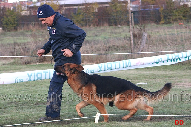 062.jpg - Mirco Cardoni con Tryp della Baia Imperiale al fuss