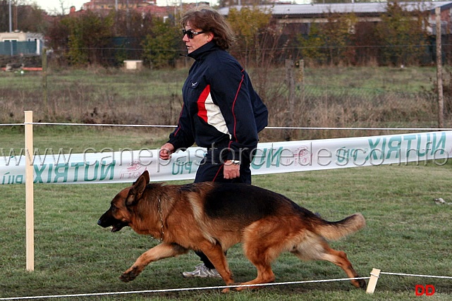 073.jpg - Maria Rosaria Paterni con Oregon della Gens Pontina al fuss