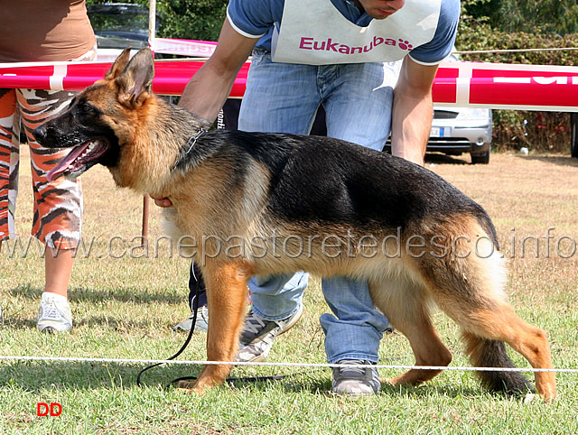 038.jpg - Classe Juniores femmine 4 Birke di Camporeale