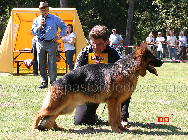 dieter-wust-con-yoker-vom-westervenn.jpg - Yoker vom Westervenn SG 1 JHKL R