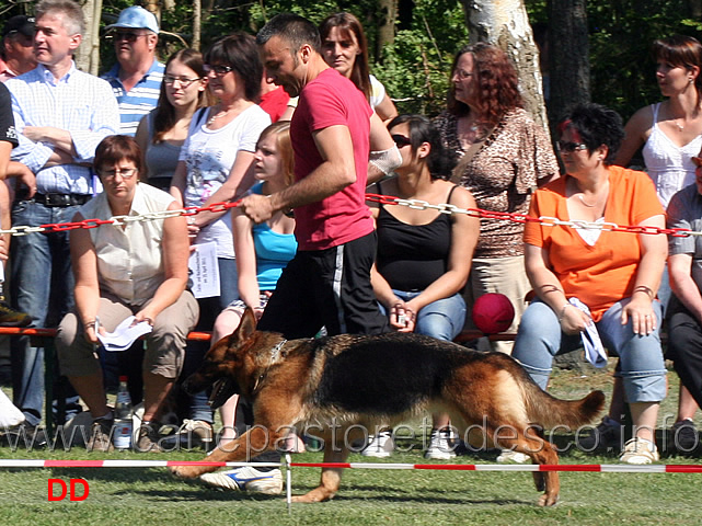 fabio-vegetti-con-fiamma-di-val-sant-anna-02.jpg - Fabio Vegetti con Fiamma di Val Sant'Anna