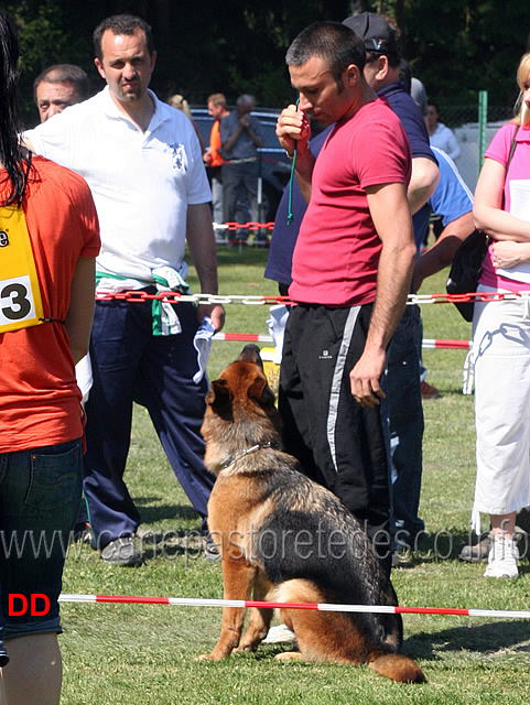 fabio-vegetti-con-fiamma-di-val-sant-anna.jpg - Fabio Vegetti con  Fiamma di Val Sant'Anna