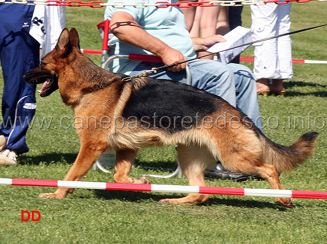 frau-di-zenevredo-02.jpg - Frau di Zenevredo