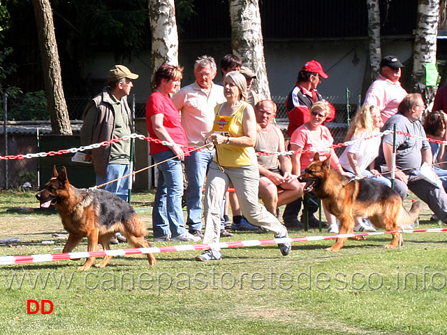 yoss-von-der-buchecke-e-dex-hinterwiese.jpg - Yoss von der Buchecke e Dex von der Hinterwiese