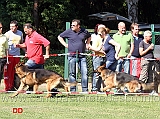 geronimo-amur-sky-eichenplatz-willi-seeteich-eros-colonne-d-ercole