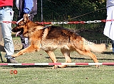 watz-von-der-neudenhauer-holzsteige