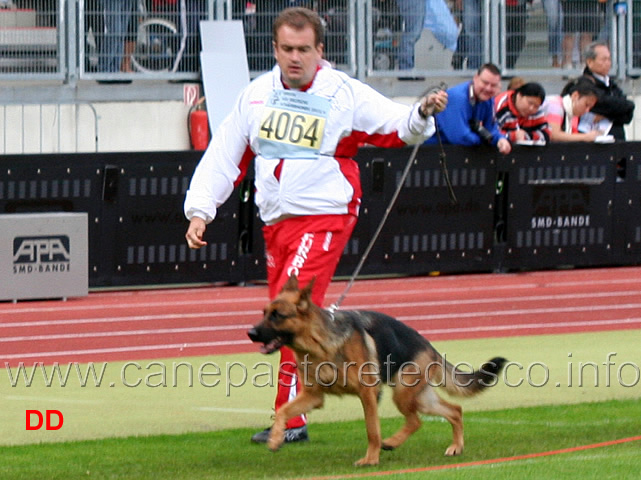 andorra-vom-bierstadter-hof.jpg - Andorra vom Bierstadter Hof SG72 JHKL H