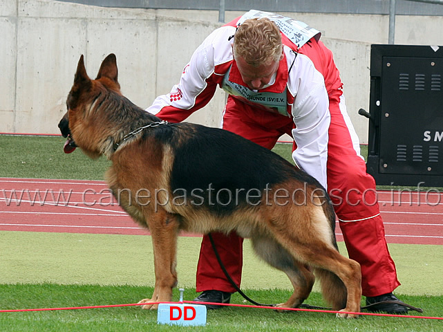 digger-vom-elzmundungsraum-03.jpg - Digger vom Elzmundungsraum V4 GHKL R