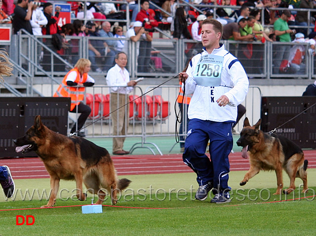 arex-von-der-wilhelmswarte-e-gerry-vom-schacher.jpg - Arex Wilhelmswarte e Gerry vom Schacher SG 23 JKL R