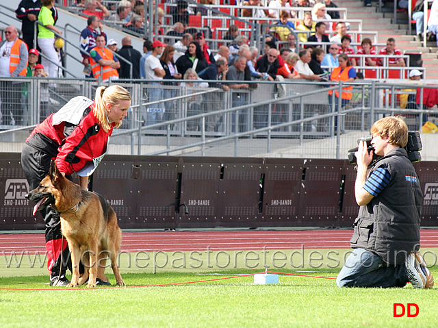 quenni-vom-holtkamper-hof-02.jpg - Quenni vom Holtkamper Hof V46 GHKL H