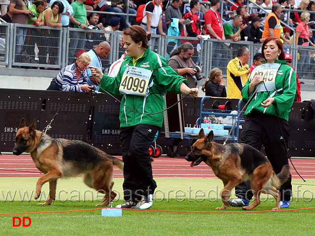 xara-zisawinkel-kreislauf-germany.jpg - Xara vom Zisawinkel SG106 e Kreislauf Germany SG126 JHKL H