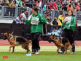 xara-zisawinkel-kreislauf-germany