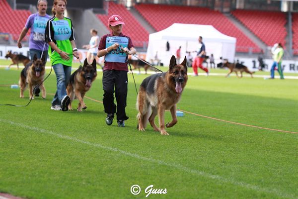 martin-brauch-con-cormack-odalrune-04.jpg - Martin Brauch con Cormack Odalrune  (foto Guss)