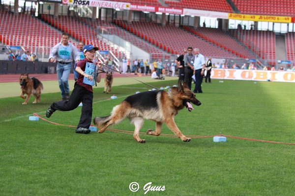 martin-brauch-con-cormack-odalrune-v52.jpg - Martin Brauch con Cormack Odalrune  (foto Guss)