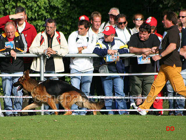 010.jpg - Wegas Fichtenschlag