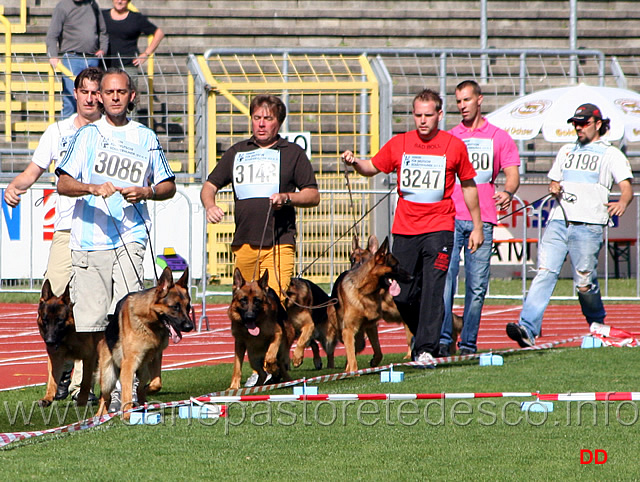 061.jpg - I primi venti della classe giovani maschi nello stadio