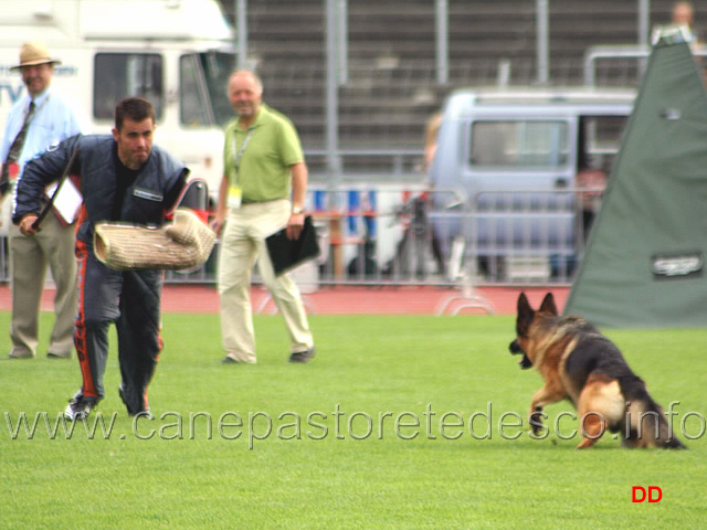 016.jpg - Vigu Urbecke V67 Un esempio di un attacco valutato con il pronunciato con il cane che perde la presa e poi recupera