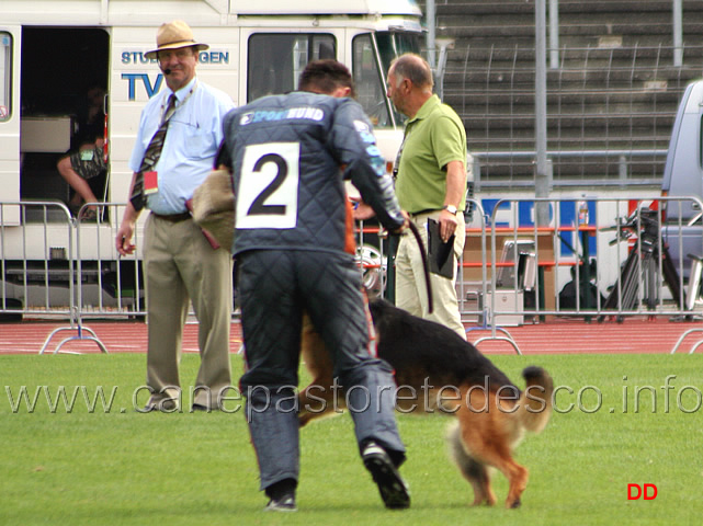 019.jpg - Vigu Urbecke V67 Un esempio di un attacco valutato con il pronunciato con il cane che perde la presa e poi recupera