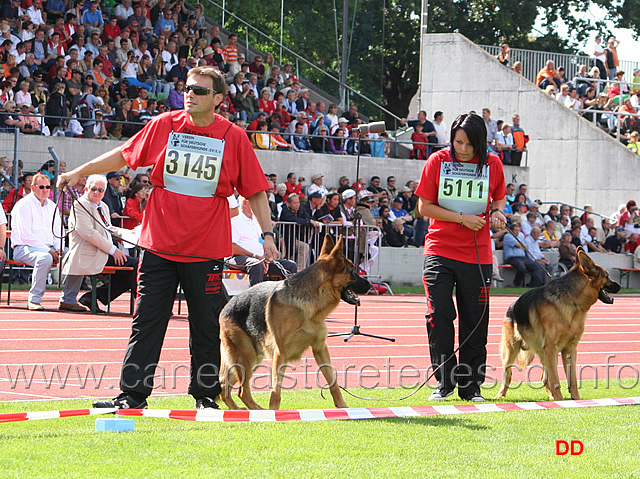 005.jpg - Sarko di Casa Beggiato SG69 JHKL R  e Uhlano Piste Trophe SG70 JKL R