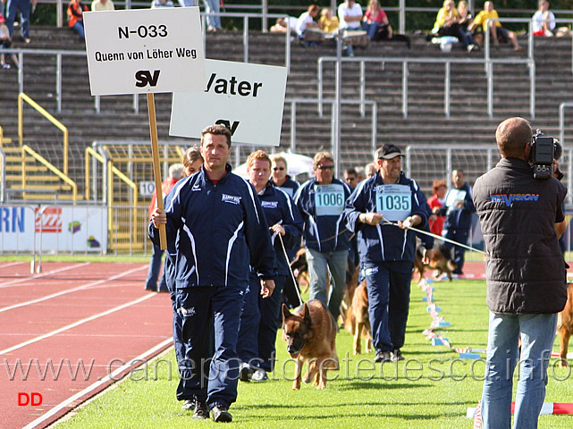 001.jpg - Gruppo di riproduzione di Quenn Loher Weg