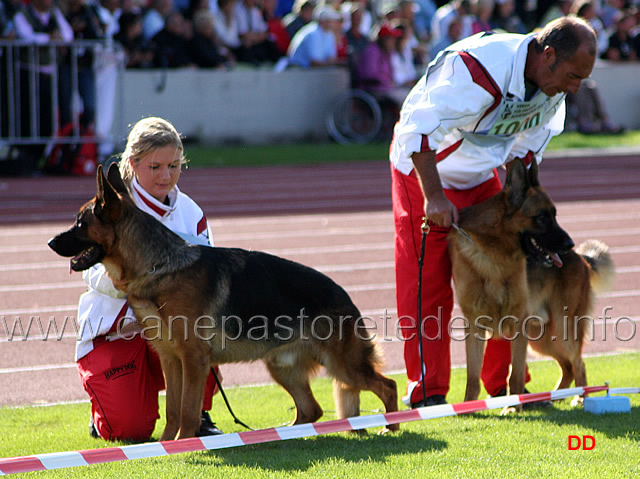 029.jpg - Beckham Bad Boll V42 GHKL R e Strauss dei Cimmeri