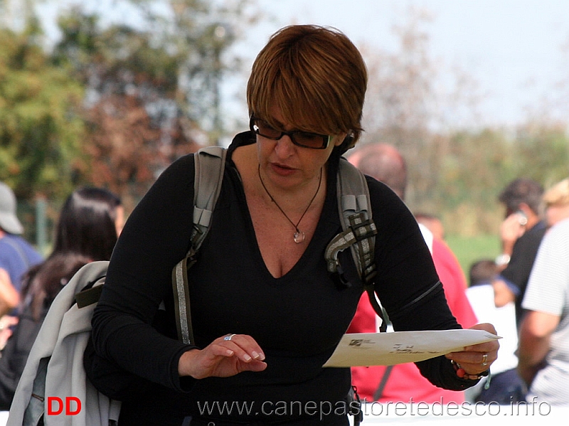 carmela-antodaro.jpg - Carmela Antodaro al lavoro come sempre 