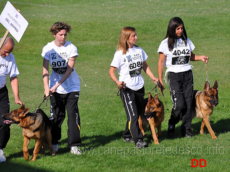 sas-in-rosa-18.jpg - Gruppo di Allevamento del Seprio. Tutte conduttrici donne per Nevio Dalla Via