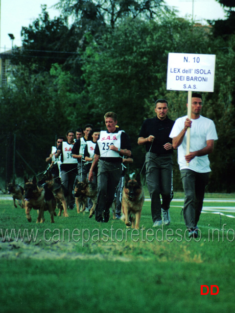 gruppo-di-riproduzione-di-lex-dell-isola-dei-baroni.jpg - Gruppo di riproduzione di Lex dell'Isola dei Baroni 