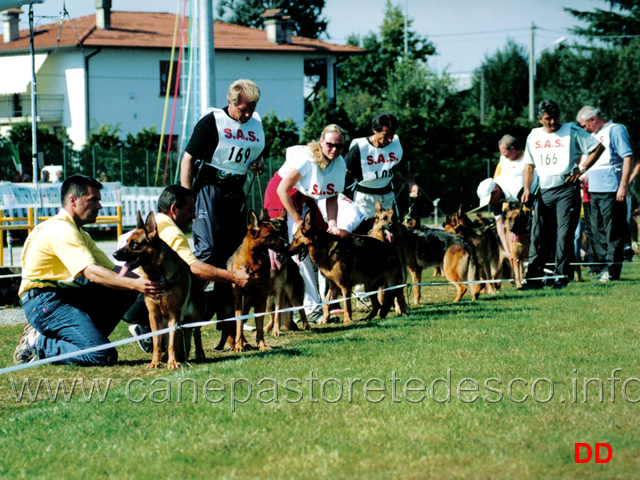 lavoro-femmine.jpg - Lavoro femmine 