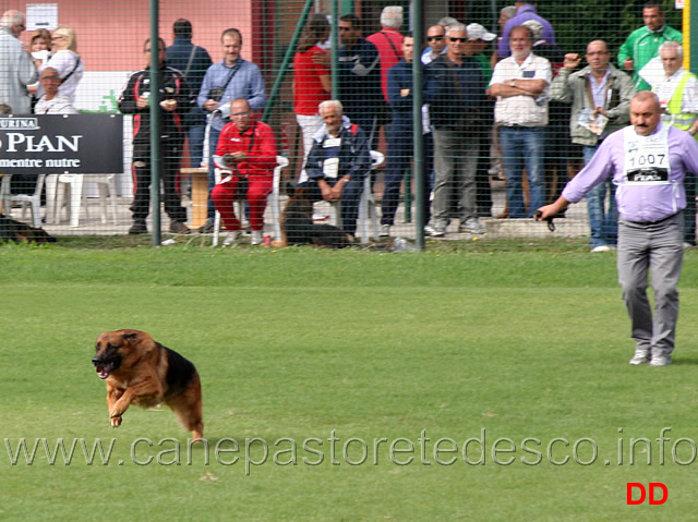 barros-furstenau-05.jpg - Barros Furstenau (non esegue il lascia) conduttore Egidio Boselli 