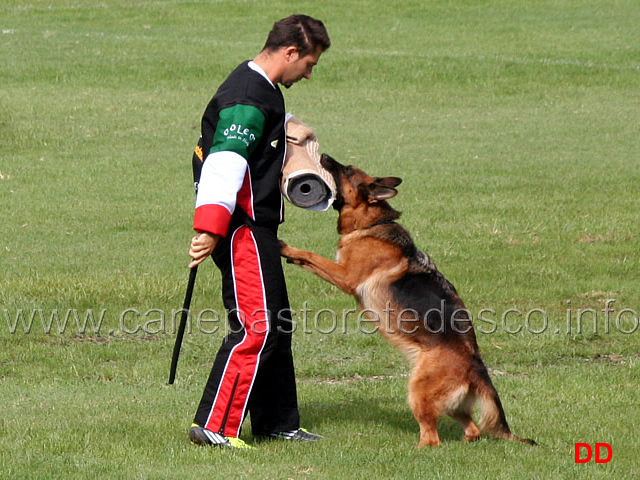 frisbi-di-ca-san-marco-05.jpg - Frisbi di Ca' San Marco 29 Ecc 