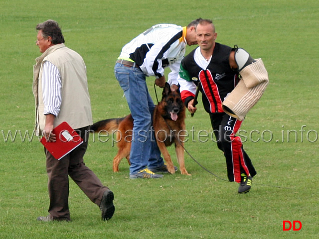 paer-hasenborn-03.jpg - Paer Hasenborn (4-4) Sieger conduttore Francesco Achaus 