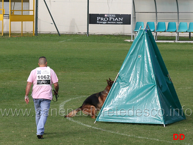 quan-goldenen-strand.jpg - Quan von der goldenen Strand (4-4) 15 Ecc conduttore Michele Fortunato 