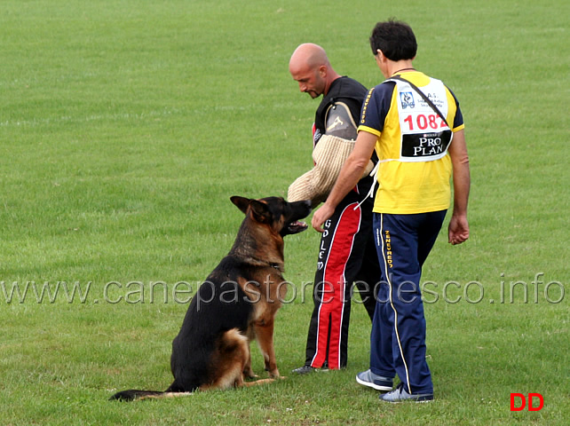 vargo-di-zenevredo-09.jpg - Vargo di Zenevredo (4-4) conduttore Ottavio Caldin (ritirato)