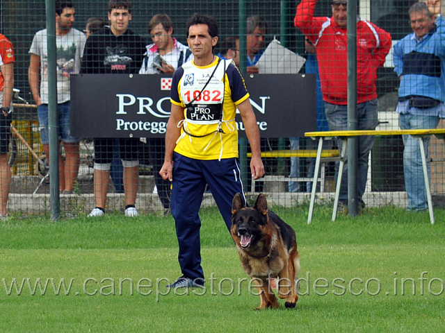 vargo-di-zenevredo-12.jpg - Vargo di Zenevredo (4-4) conduttore Ottavio Caldin (ritirato)