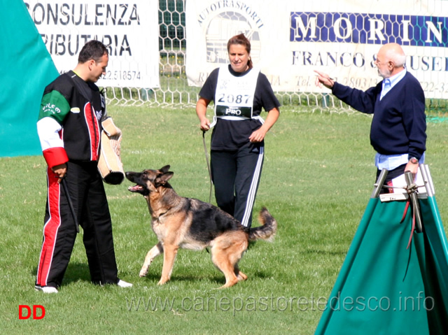 zoe-dell-alpe-adria-07.jpg - Zoe dell'Alpe Adria (4-4) 28 Ecc conduttrice Martina Vidulich 