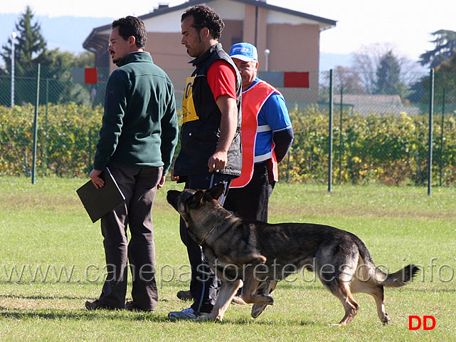 andrea-zunarelli-con-ido-z-polytanu-05.jpg - Andrea Zunarelli con Ido z Polytanu (B punti 82)