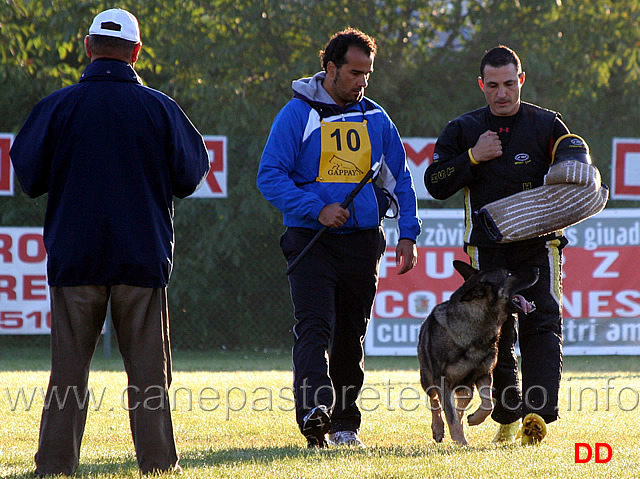 andrea-zunarelli-con-ido-z-polytanu-18.jpg - Andrea Zunarelli con Ido z Polytanu (C punti 84)