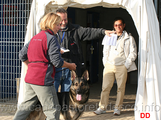 claudio-truzzi.jpg - Il veterinario Claudio Truzzi