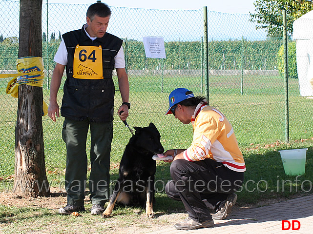 controllo-microchip.jpg - Controllo microchip