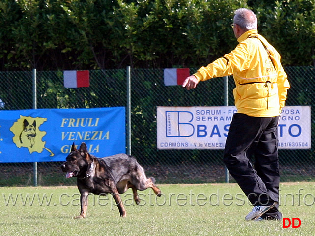 gianni-greco-con-fato-z-elisu-02.jpg - Gianni Greco con Fato z Elisu (C punti 87)