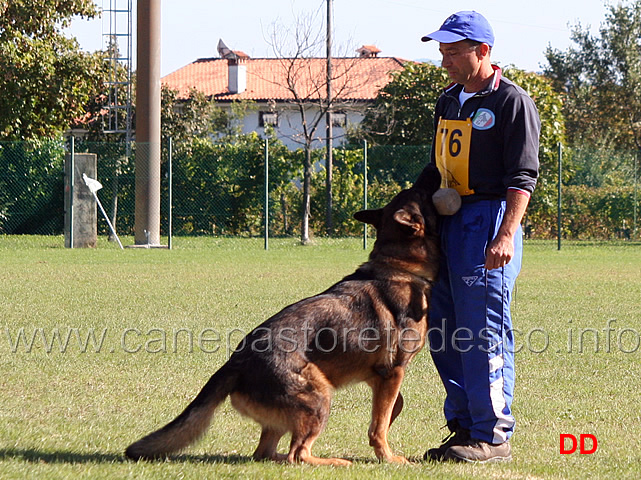 giuseppe-capitanio-con-mushu-di-oroval-06.jpg - Giuseppe Capitanio con Mushu di Oroval (B punti 72)