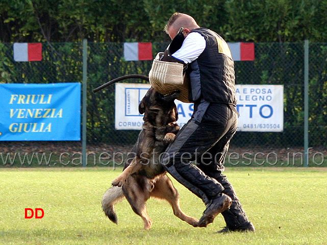 iago-di-casa-nosella-12.jpg - Iago di Casa Nosella (C punti 81)